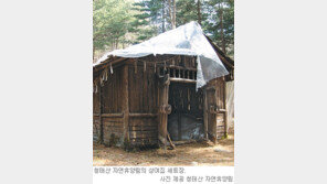 [강원]횡성 청태산 휴양림 ‘오싹한’ 피서지 각광