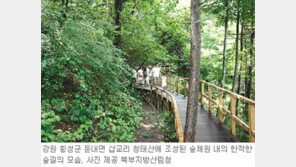 [강원]‘숲체원’으로 소풍오세요