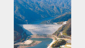 [강원]평화의댐 상류, 습지보호지역 지정 본격 추진