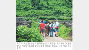 [제주]걸으며 만나는 ‘제주의 속살’