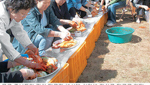 [강원]몽골서 꽃핀 ‘강원도 농업의 힘’