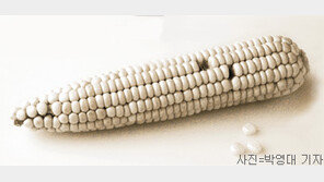 [헬스&뷰티]‘32개의 조화’… 건강의 상징 ‘치아’