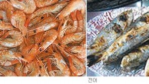 [대전/충남]전어-대하의 계절이 돌아왔다