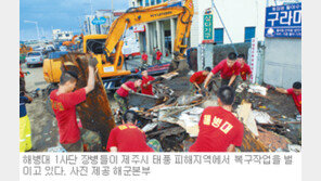 [제주]“제주는 지금 구슬땀에 젖었다” 民-軍 힘합쳐 현장복구 잰걸음