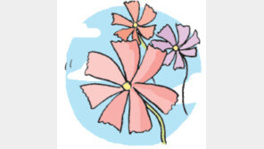 [오늘의 날씨/9월22일]고향가는길, 코스모스와 가을볕이…