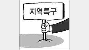 [횡설수설/홍권희]‘무늬 지역特區’