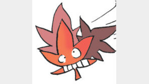 [오늘의 날씨]오매! 단풍 들었네!