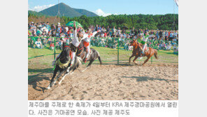 [제주]기마공연, 밧줄 던져 걸기…제주마 축제 4∼7일