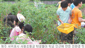 [제주]제주 초등교 ‘급식용 유기농 텃밭’ 확산