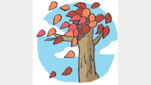 [오늘의 날씨/10월11일]나무들은 마지막 향연 채비를…