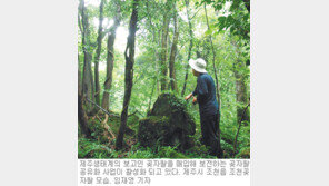 [제주]제주 곶자왈 공유화사업 탄력