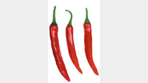 [충북]괴산-증평-진천군 ‘고추한가족’