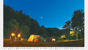 [커버스토리]삶의 최상급，숲 속의 자유…‘AutoCamping’