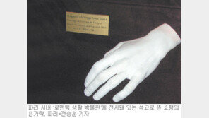 [기자와 함께 문화산책]파리의 박물관서 쇼팽의 손을 만나다