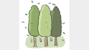 [오늘의 날씨/10월 31일]단풍의 붉은빛이 더욱 빛나는 요즘