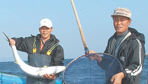 [제주]최남단 방어축제 “손맛보러 오세요”