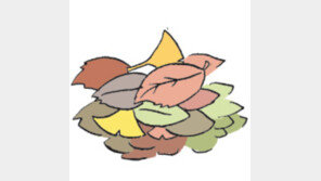 [오늘의 날씨/11월10일]가을의 끝을 알리는 낙엽비