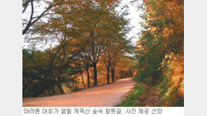 [대전/충남]“황톳길 달리며 삼림욕까지 즐기세요”