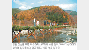 [강원]“강원도 섶다리 안 밟으면 섭섭하죠”