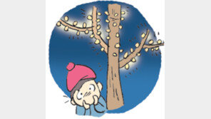 [오늘의 날씨/11월 30일]한 해의 끝자락이 기다려지는 이유