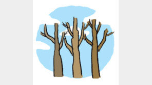 [오늘의 날씨/12월4일] 옷 속을 파고드는 찬바람