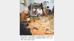 [강원]강원도 68개 장수마을 ‘신바람’