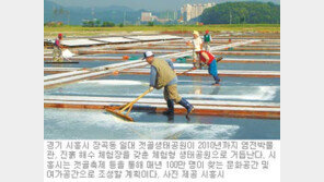 [인천/경기]시흥시 장곡동 월곶동 일대 생태공원으로 탈바꿈