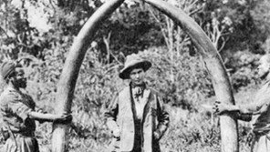 [인문사회]美대통령 사자 사냥… 기상천외한 여행기 모음