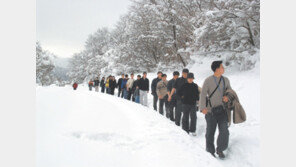 [제주]한라산 ‘눈꽃 만개’