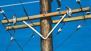 [작가 김주영의 그림 읽기]전봇대 위의 까치집