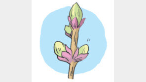 [오늘의 날씨/2월4일]만물이 봄기운 부르려고 꿈틀