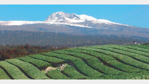 [제주]“산악 훈련엔 한라산이 최고”