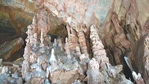 [강원]평창 백룡동굴 속살 드러낸다