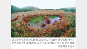 [강원]대암산 용늪 주변 생태복원사업 추진