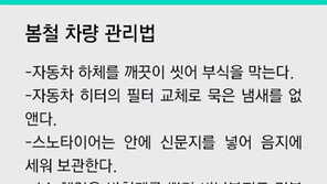 [동아정비소]한겨울 잘 견딘 내 차 ‘봄단장’ 해 주세요