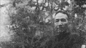 [인문사회]“정치를 묻지 말라”…‘진인각, 최후의 20년’