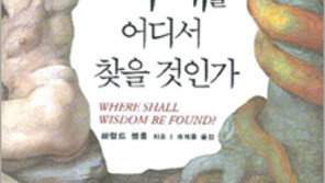 [인문사회]문학에서 건져올린 지혜들…‘지혜를 어디서 찾을 것인가’