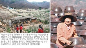 [코리안 지오그래픽]광양 백운산자락 매화마을