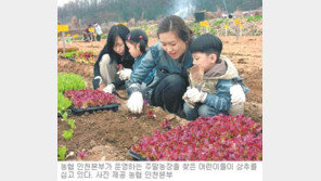 [인천/경기]작물 가꾸고 나들이 되고 주말농장 신청 서두르세요