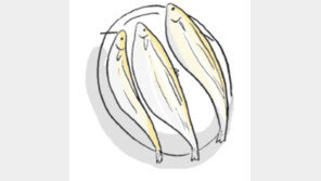 [오늘의 날씨/3월13일]금강하류 위어(葦魚) 한창