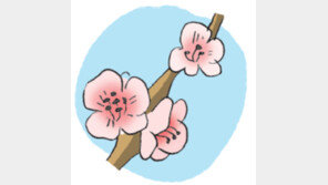 [오늘의 날씨/3월 14일]꽃잎처럼 보드라운 봄옷 꺼낼 시간