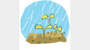 [오늘의 날씨/3월19일]나이 들수록 새싹 돋는 봄이 최고