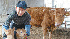 [휴지통]“음매, 6연속 쌍둥이 낳았어요”