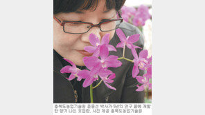 [충북]향기 나는 ‘호접란’… 충북농업기술원 국내 첫 개발