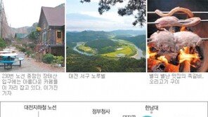 [대전/충남]대전시내버스 100배 즐기기<6> 220, 230번