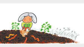 [어린이 책]꼬불꼬불 지렁이, 땅을 토실토실 살찌운대