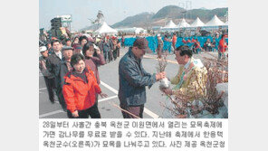 [충북]옥천 묘목축제 “감나무 무료로 드려요”