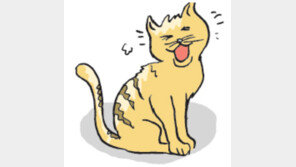 [오늘의 날씨/3월 29일]목련꽃봉오리 쫑쫑쫑 올라오고…