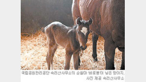 [충북]“저에게 예쁜 이름 지어주세요”