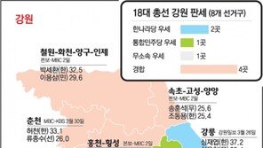 영남, 한나라 48 무소속 6 친박 1곳 우세… 13곳 경합